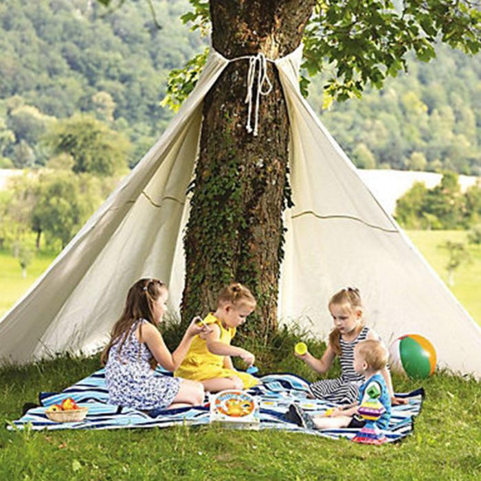 Baumtipi – Bild 2
