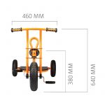 TopTrike Dreirad Taxi – Bild 3
