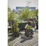 Tomatentopf mit Wasserreservoir – Bild 2