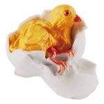 Lebenszyklen Huhn – Bild 3