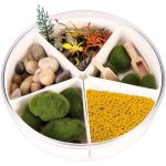 Sensorik-Kasten Insekten mit Figuren & Naturmaterialien