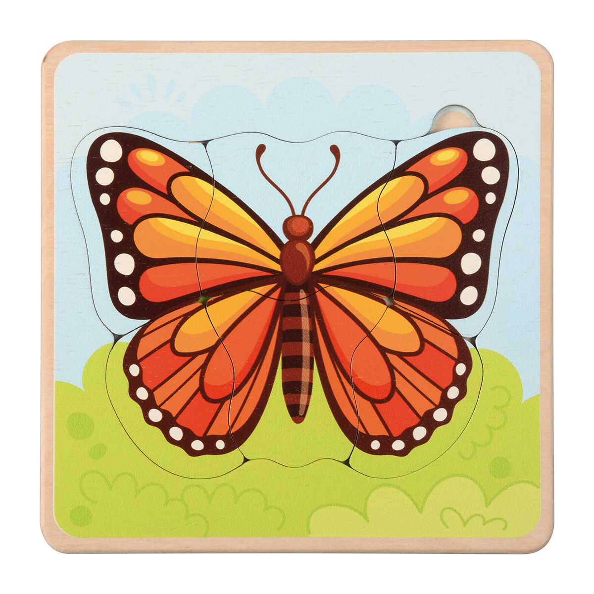 121004_1.jpg Lebenszyklus-Puzzle Schmetterling – Bild 1