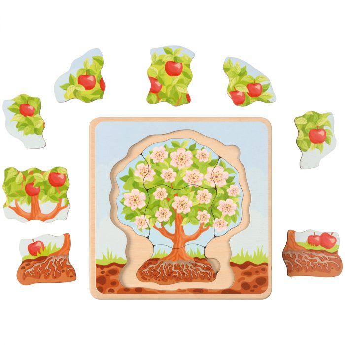 Lebenszyklus-Puzzle Apfelbaum – Bild 2