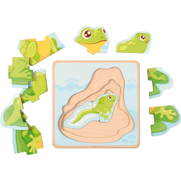 Lebenszyklus-Puzzle Frosch – Bild 2