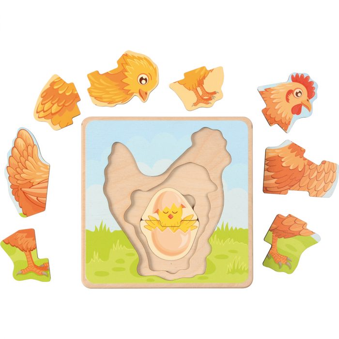 Lebenszyklus-Puzzle Huhn – Bild 2