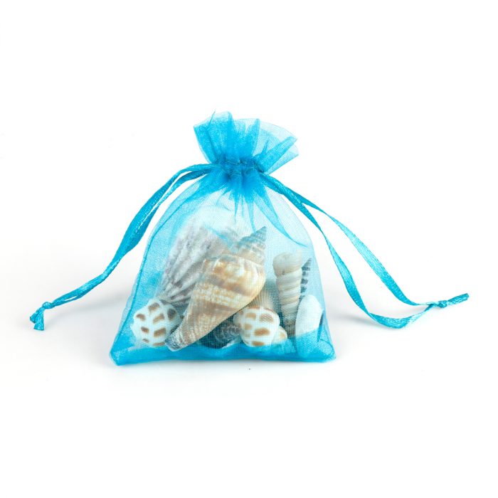 Echte Muscheln im Organzabeutel – Bild 2