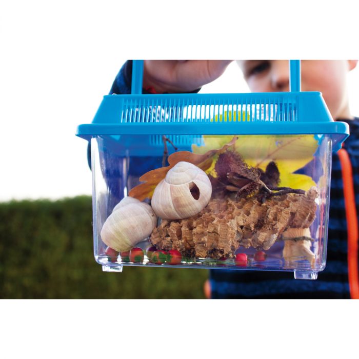 Insekten-Beobachtungsboxen, 2er Set – Bild 3