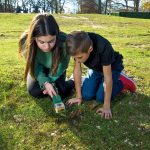 Langer Insektenfänger mit 5-fach Lupe – Bild 2