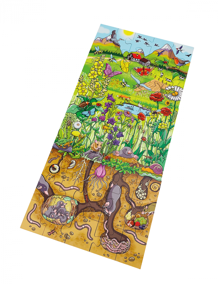 beleduc Bodenpuzzle Entdecke die Blumenwiese – Bild 2