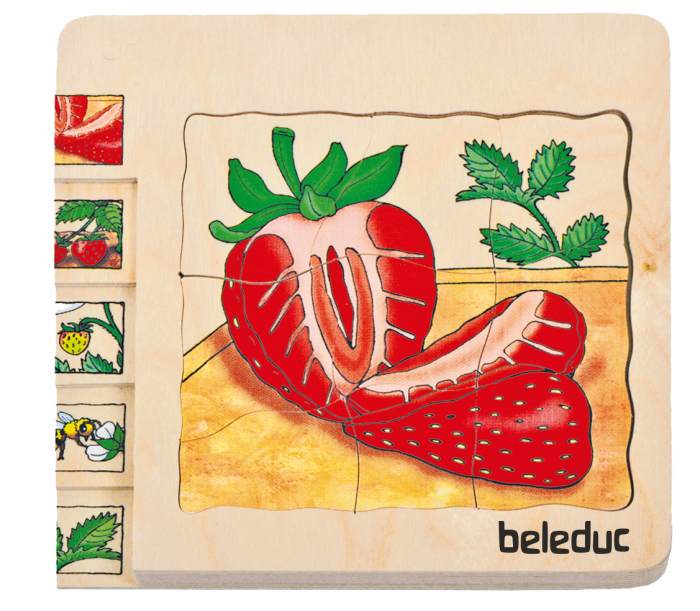beleduc Lagen-Puzzle „Erdbeere“ – Entwicklung der Frucht – Bild 6