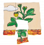 beleduc Lagen-Puzzle „Erdbeere“ – Entwicklung der Frucht – Bild 4