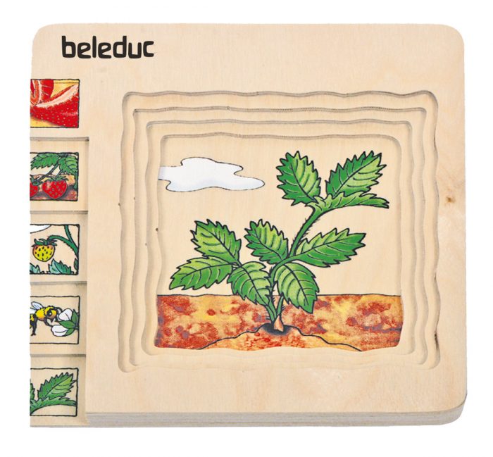 beleduc Lagen-Puzzle „Erdbeere“ – Entwicklung der Frucht – Bild 2