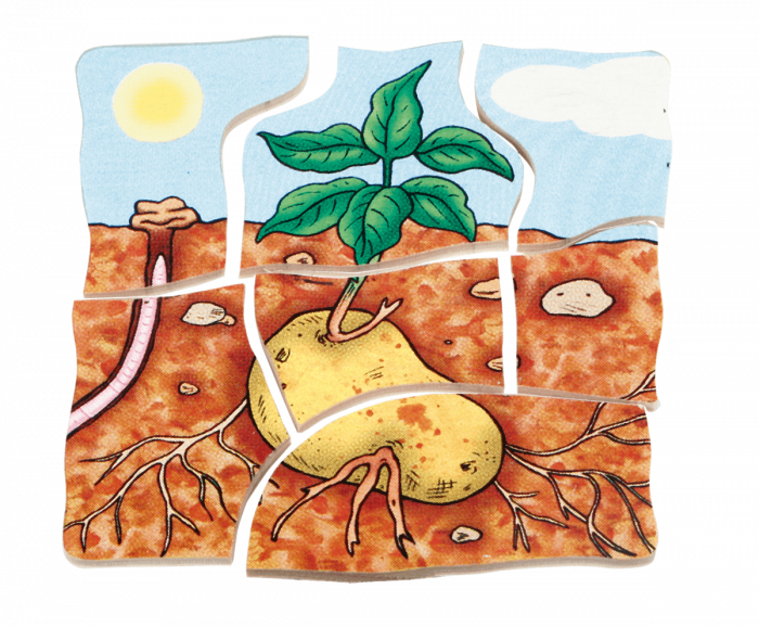 beleduc Lagen-Puzzle Kartoffel – Bild 4