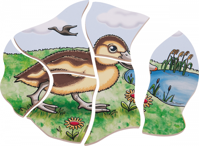 beleduc Lagen-Puzzle „Ente“ – Entwicklung in 4 Lagen – Bild 3