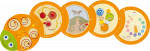 beleduc Wandspielobjekt Raupe Kreisel – Bild 2