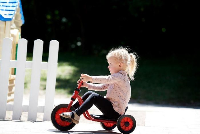 Winther MINI VIKING Easy Rider – Bild 3