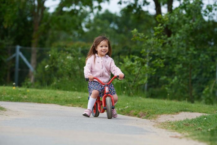 Winther MINI VIKING BikeRunner – Bild 3
