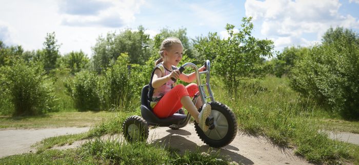 Winther VIKING EXPLORER OFF-ROAD Easy Rider – Bild 2