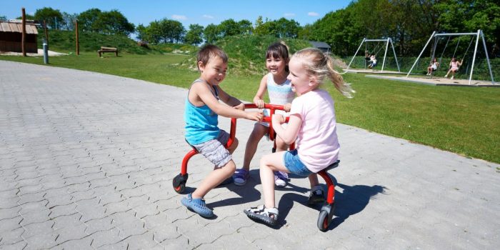 Winther VIKING CHALLENGE CircleBike – Bild 2