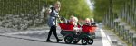 Winther Turtle Kinderbus für 4 Kinder – Bild 3