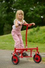 Winther VIKING CHALLENGE Step Roller – Bild 2