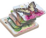 beleduc Lagen-Puzzle „Schmetterling“ – Metamorphose entdecken – Bild 3