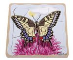 beleduc Lagen-Puzzle „Schmetterling“ – Metamorphose entdecken – Bild 2