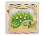 beleduc Lagen-Puzzle „Schmetterling“ – Metamorphose entdecken – Bild 4