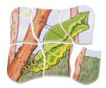 beleduc Lagen-Puzzle „Schmetterling“ – Metamorphose entdecken – Bild 6