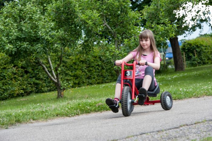 Winther VIKING EXPLORER Zlalom Tricycle Large – Bild 3